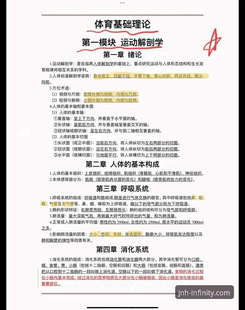 今年会体育平台沉浸式观赛实用指南：从新手到达人的必备知识